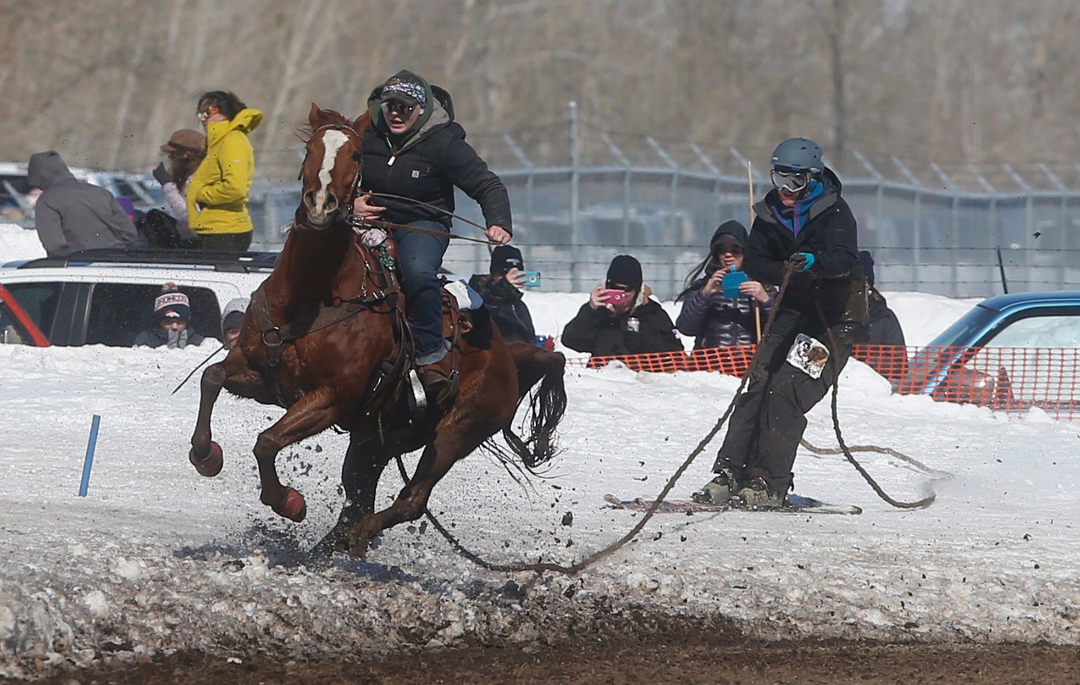 Ski-Joring Races 2018
